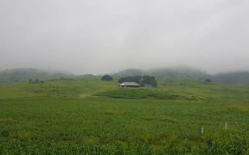 Prevén ingreso de primera tormenta invernal de la temporada este fin de semana