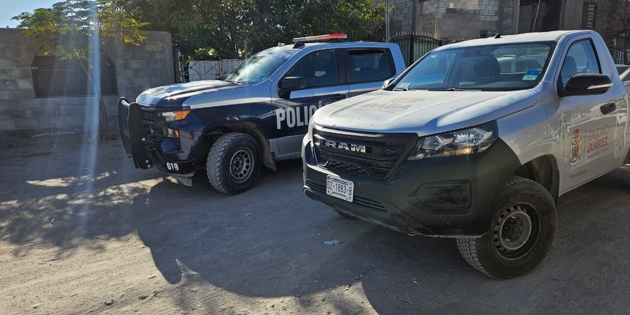 Atiende DABA caso de perrito muerto por maltrato