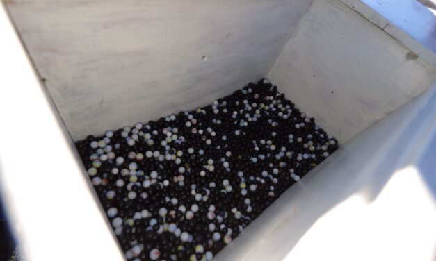 Mañana en Juárez se realizará el Sorteo del Servicio Militar