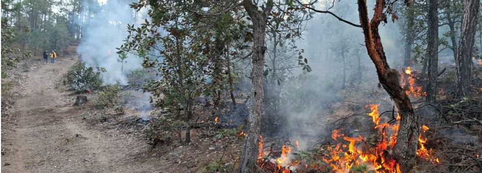 Realizan quema prescrita en el Área de Protección Papigochi