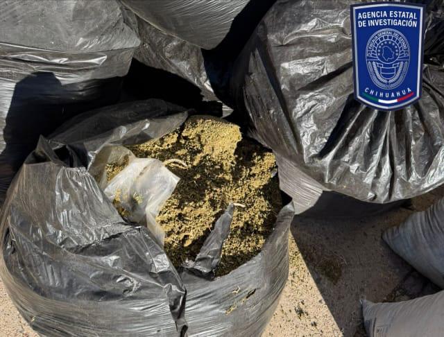 Asegura AEI media tonelada de mariguana en carretera Parral- Balleza
