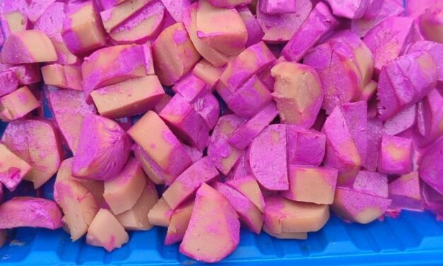 Denuncian envenenamiento de perros en Los Arcos