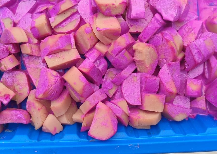 Denuncian envenenamiento de perros en Los Arcos