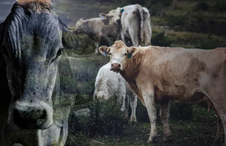 El gusano que infectó a una industria