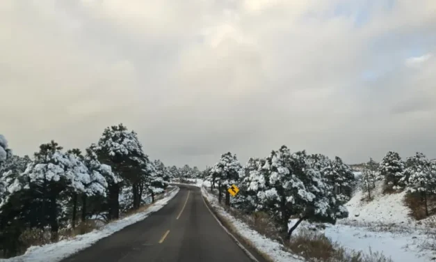 ¡A sacar las cobijas se ha dicho! alerta CEPC marcado descenso de temperatura
