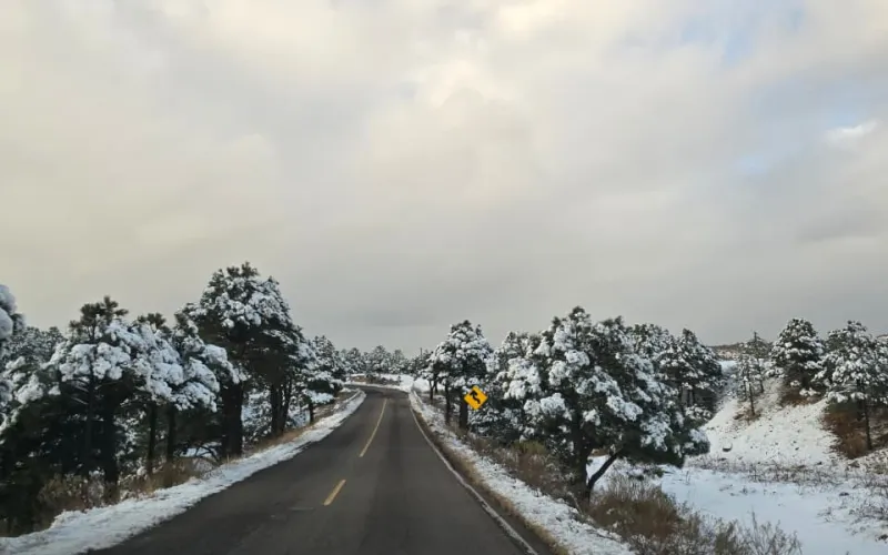 ¡A sacar las cobijas se ha dicho! alerta CEPC marcado descenso de temperatura
