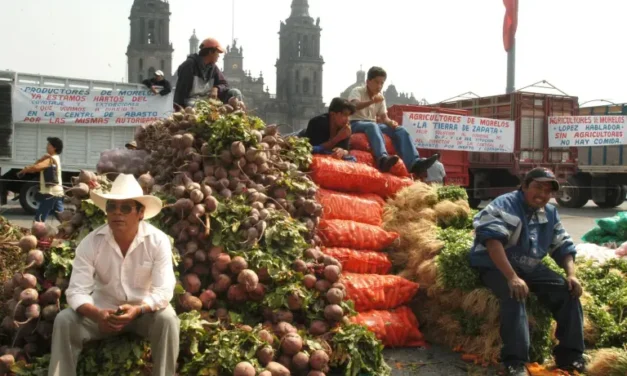 Piden campesinos frenar crisis agrícola