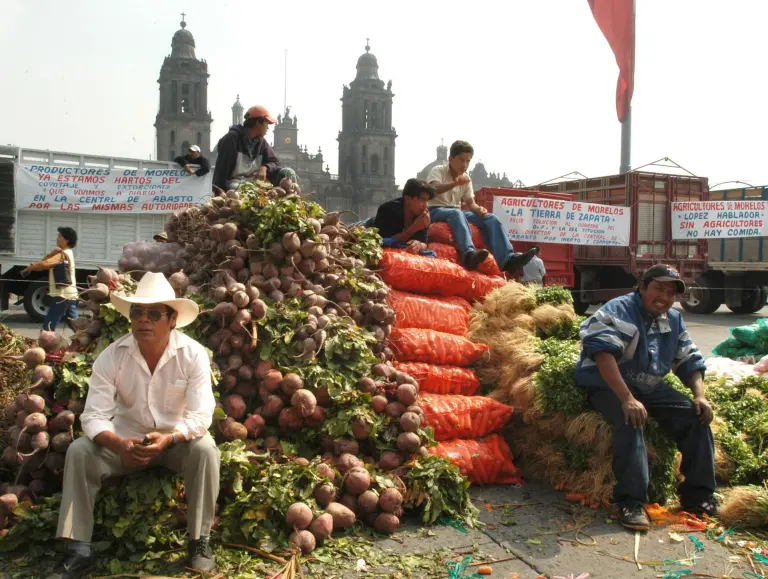 Piden campesinos frenar crisis agrícola