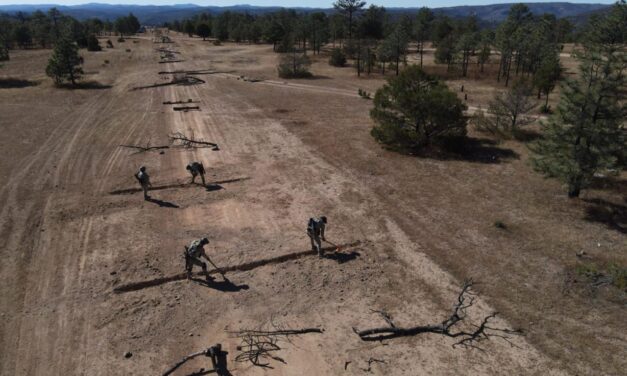 Destruye SSPE pista de aterrizaje clandestina en Guachochi