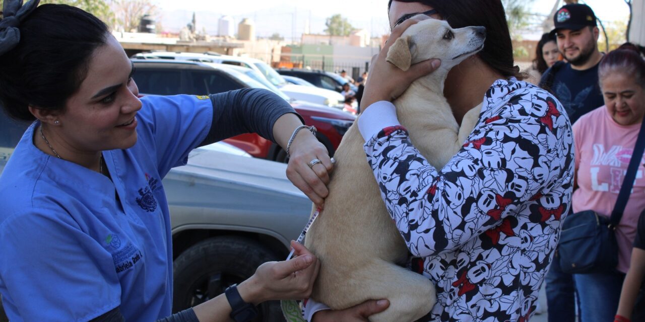 Reciben perritos y gatitos de Vistas Cerro Grande más de mil 600 servicios