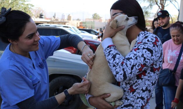 Reciben perritos y gatitos de Vistas Cerro Grande más de mil 600 servicios
