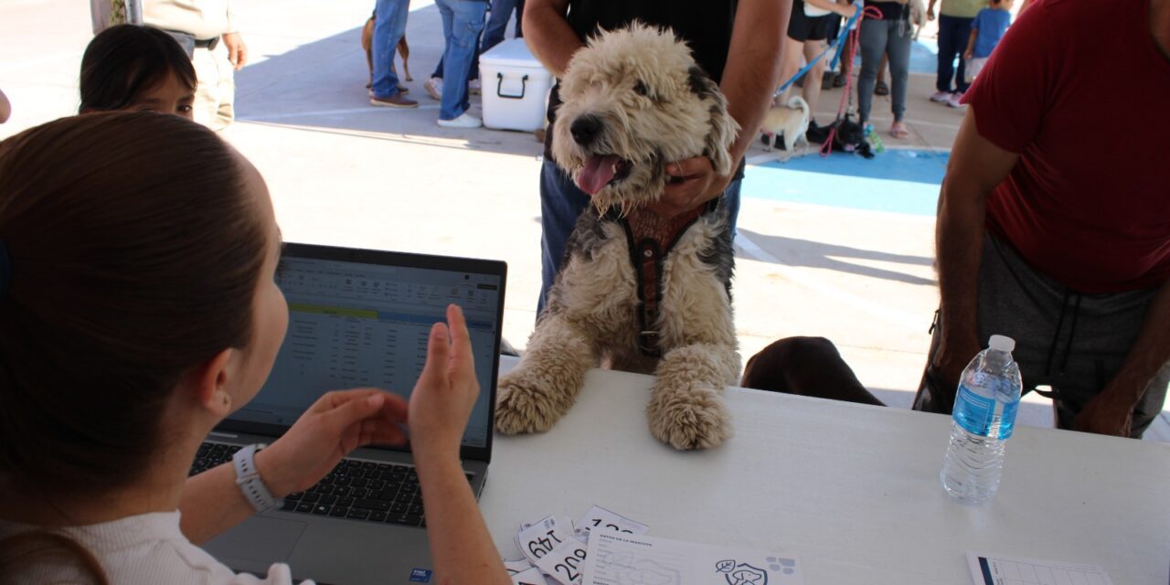 Vacuna a tus mascotas el sábado 15 de noviembre en Vistas Cerro Grande