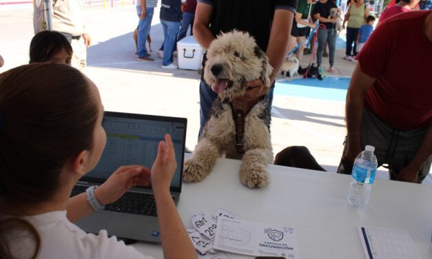 Vacuna a tus mascotas el sábado 15 de noviembre en Vistas Cerro Grande