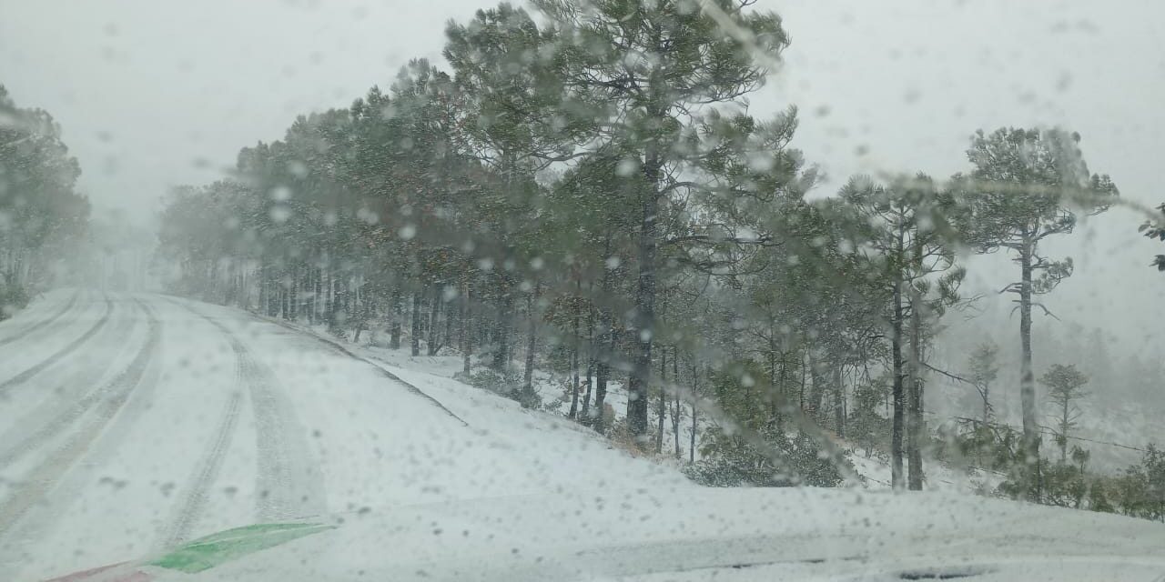 ¡A sacar las cobijas se ha dicho! emite CEPC aviso preventivo por descenso de temperaturas