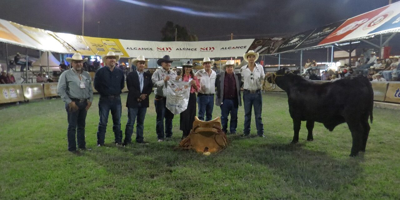 Presenta SDR convocatoria para proyecto de engorda y subasta de novillo gordo