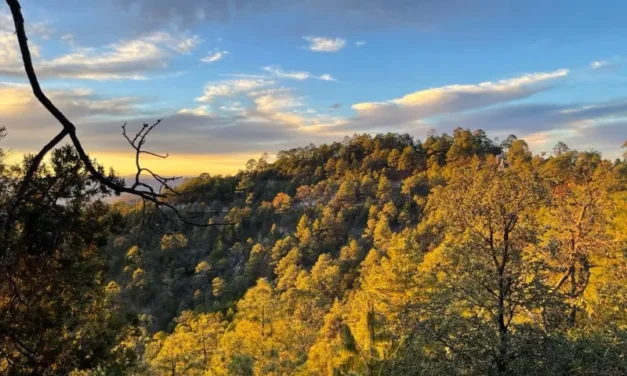 Entrada de frente frío 21 generará bajas temperaturas