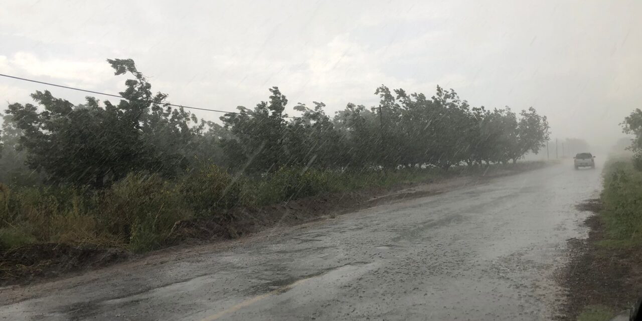 Provocará frente frío número 18 bajas temperaturas, lluvias y vientos fuertes