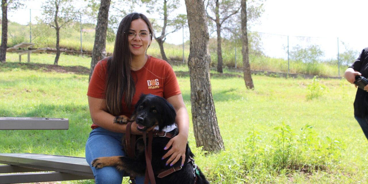 Piden no regalar animales de compañía en Navidad