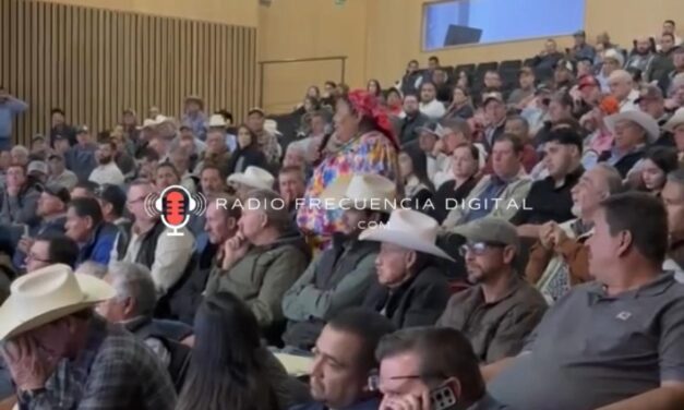 ¡Estoy hasta la madre, no nos consultaron!