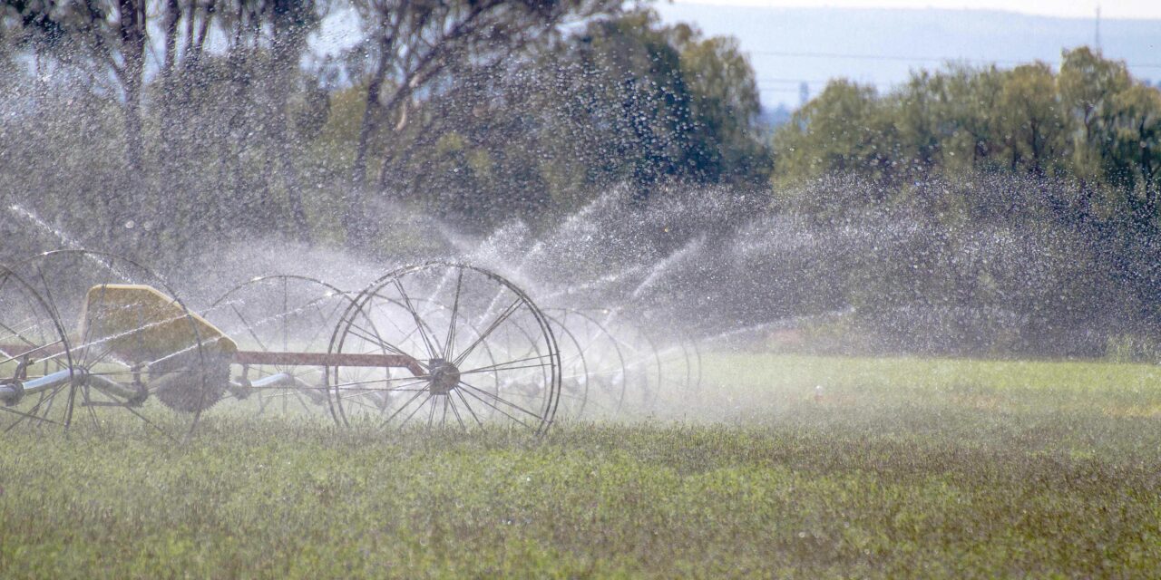 Amplían el periodo de inscripción y reinscripción al PEUA  