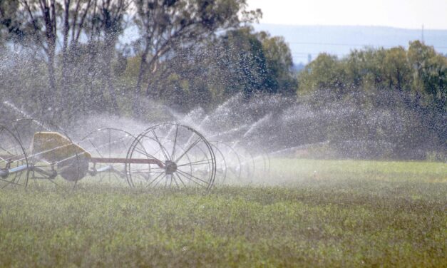 Amplían el periodo de inscripción y reinscripción al PEUA  