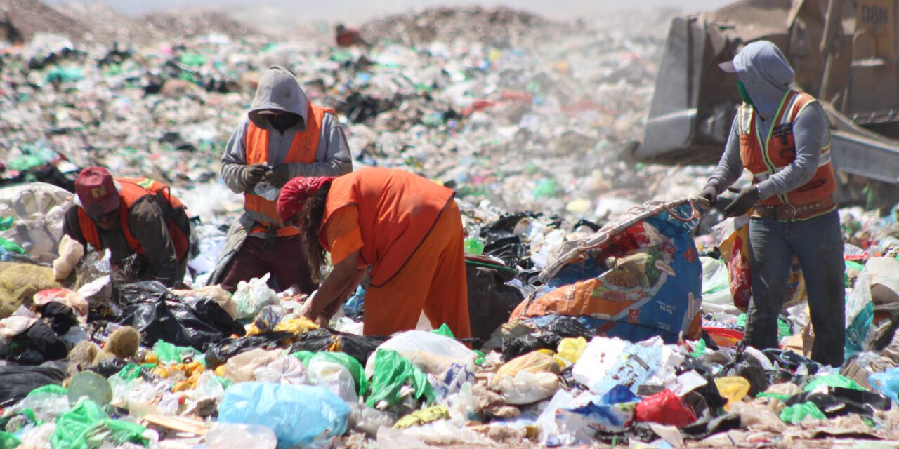 ¿Qué son los bioplásticos y cómo ayudan al medio ambiente? Investigador UACH lo explica