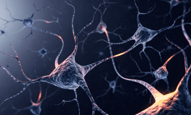 Adolescentes hasta los 30: es falso que el cerebro se haga adulto de golpe a los 25 años