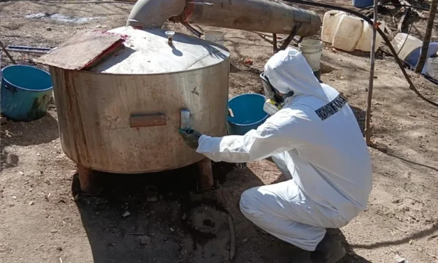 Desmantelan narcolaboratorios