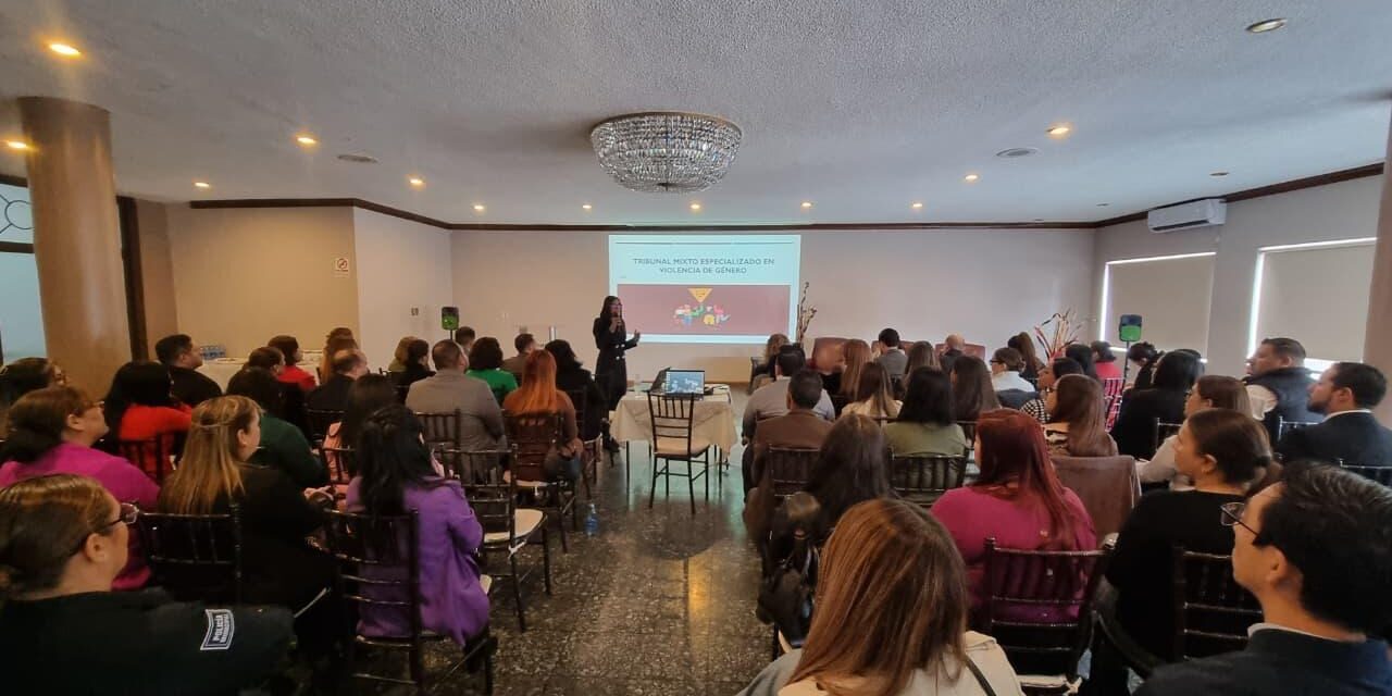 Impulsan magistradas del PJE de Chihuahua y FICOSEC modelo de TEVIOGEN  