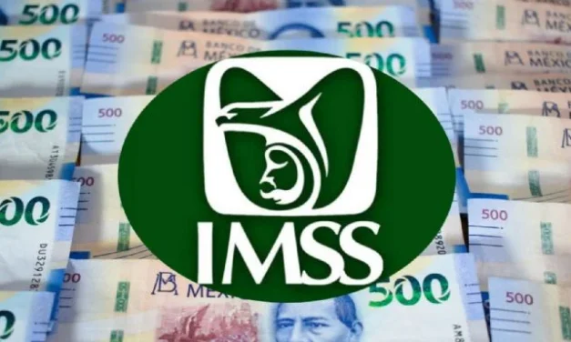 IMSS: Los tres tipos de pensión que otorga y quiénes la pueden recibir