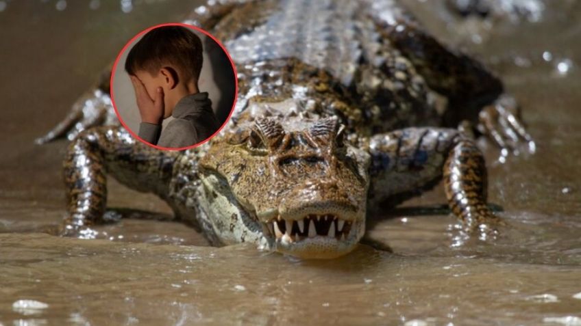 Cocodrilo devora a niño frente a sus amigos: “Había muchas heridas”