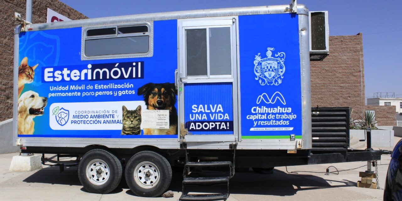 Del 2 al 13 de marzo Esterimóvil Jardines del Sol