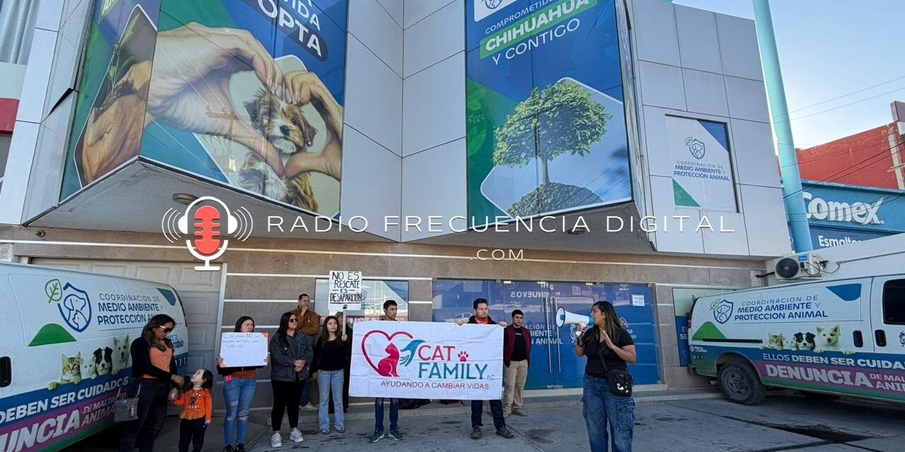 Exigen bajar gasto millonario en Coordinación de Bienestar Animal