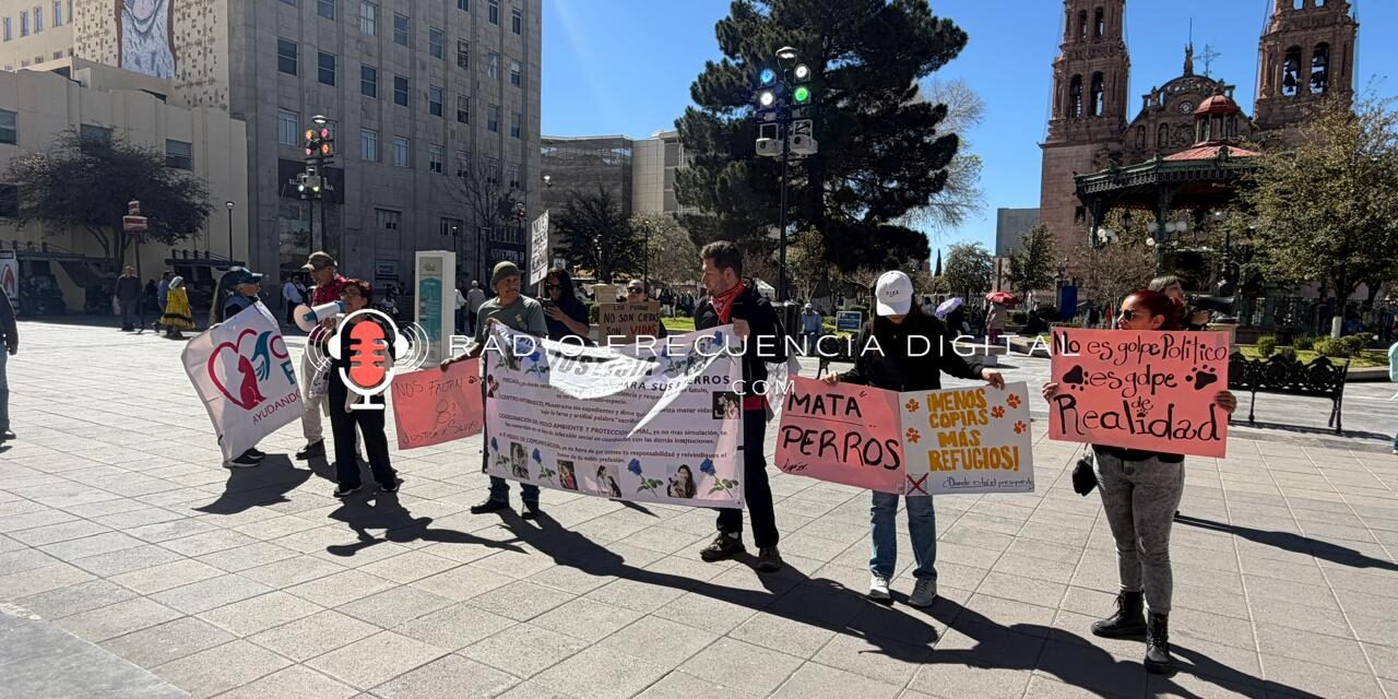 Con Bonilla ¡Han desaparecido más de 300 perros!, denuncian activistas