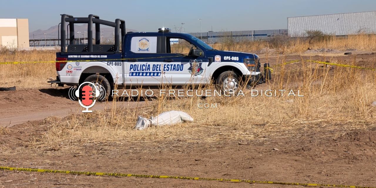 Localizan en cobijado atrás de Alsuper Equus