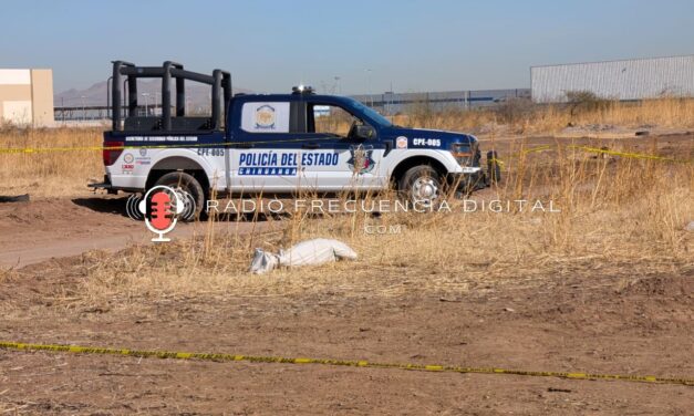 Localizan en cobijado atrás de Alsuper Equus