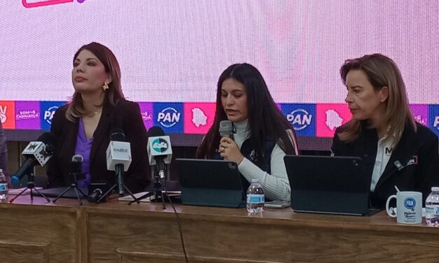 Sin proyecto de reforma electoral en cámaras: Rocío González