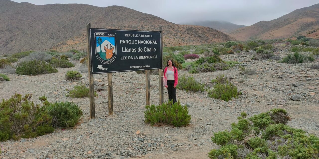 Estudiante de la UACH explora la diversidad ambiental en Chile