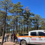 Intensifica SDR acciones para el combate y control de plagas forestales 