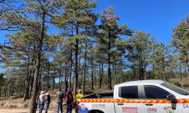 Intensifica SDR acciones para el combate y control de plagas forestales 