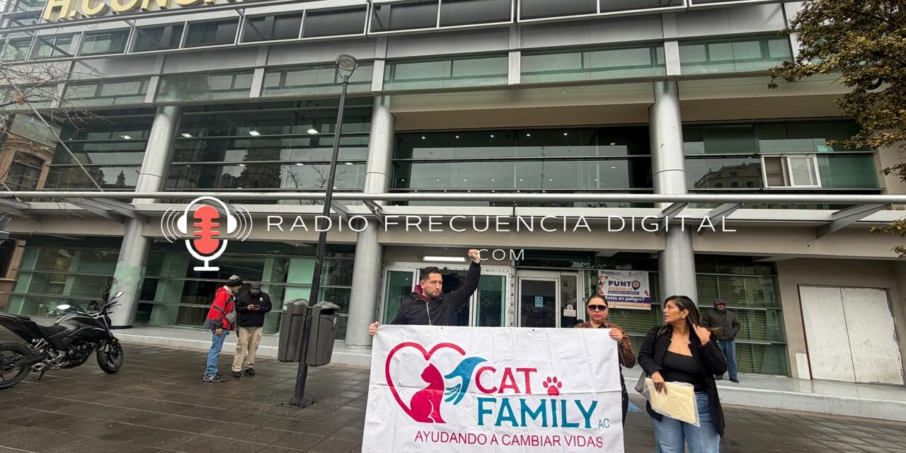 Buscan endurecer penas contra maltrato animal por caso «Vico»