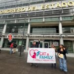 Buscan endurecer penas contra maltrato animal por caso «Vico»