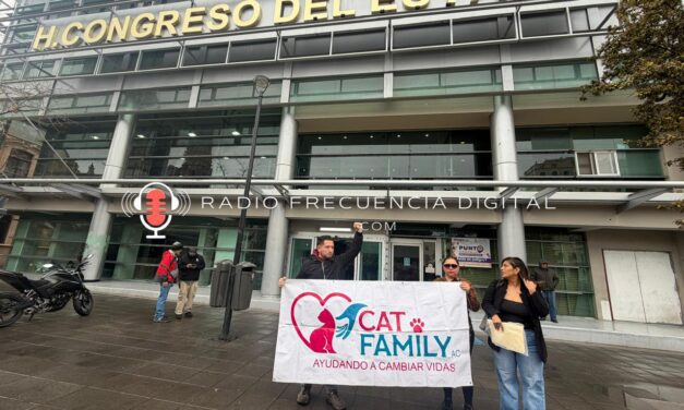 Buscan endurecer penas contra maltrato animal por caso «Vico»