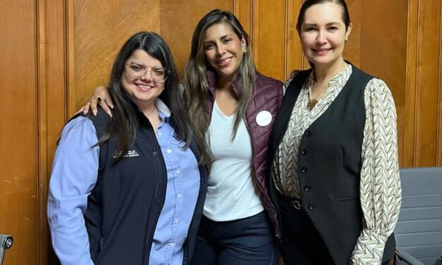 Avanza «Proyecto Vico»