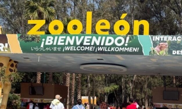 Denuncian negligencia y muertes de animales en el Zoológico de León
