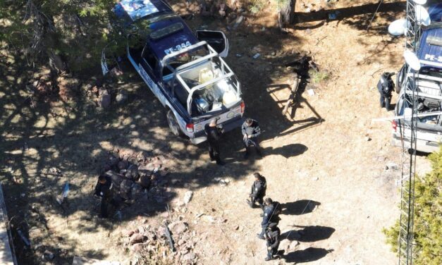 Destruyen campamentos improvisados en zona serrana de Guachochi