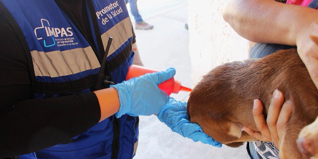  23 y 24 de febrero el “Patio de mi Casa” en cuatro colonias de la ciudad