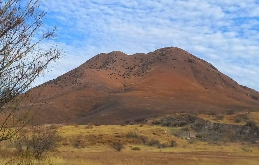 Deberán reforestar más de mil árboles en el Cerro Grande