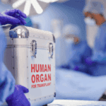 Realizan 197 trasplantes de órganos y tejidos en el estado entre 2024 y 2026