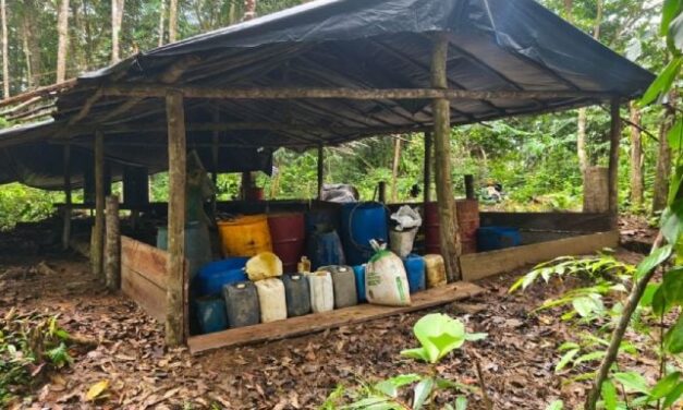 Ataques a narcolaboratorios dejan 30 muertos en Colombia; alertan por incursiones con sello de Trump